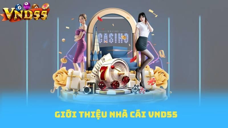 Kết luận - Đăng ký VND55, niềm vui và an toàn song hành